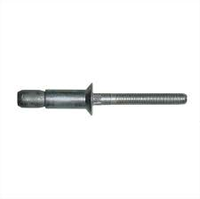 Stainless Steel-Stainless Steel C Structural Rivets
